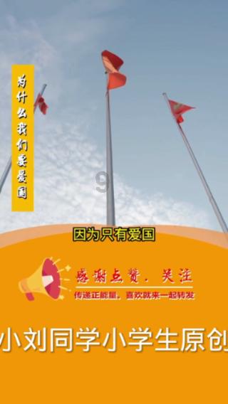 寻找萌小老虎